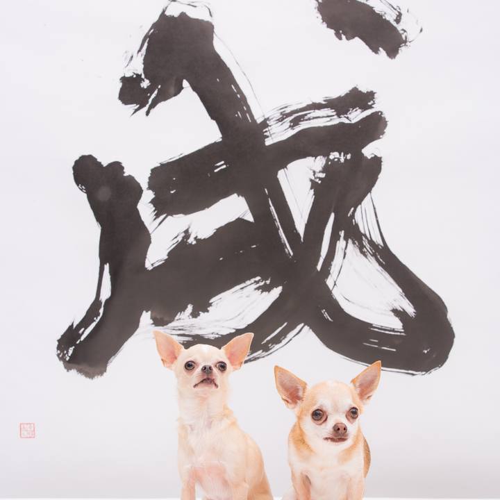 C152cd09 a96a 4263 b02d 9d4d3b4ac45c 1514740794325