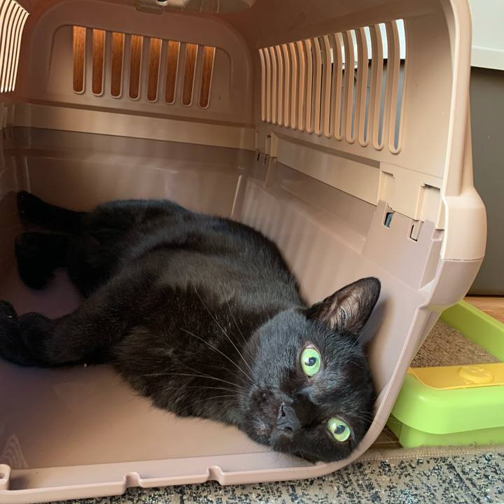 C152f92c c8b1 4cfd a075 54882ffe3218 1598059880485