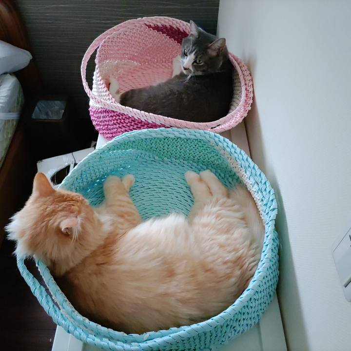 C1531e36 6b2a 4049 9ca5 263793eac257 1658231432625