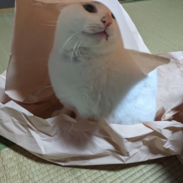 C1532e85 f263 455e 9b9c 44a6f47159e4 1675140308256