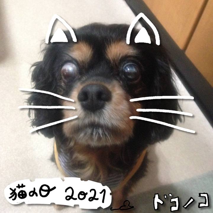 C1537c5c b9b2 4d26 b3dc 41ed5929cfa1 1613974649148