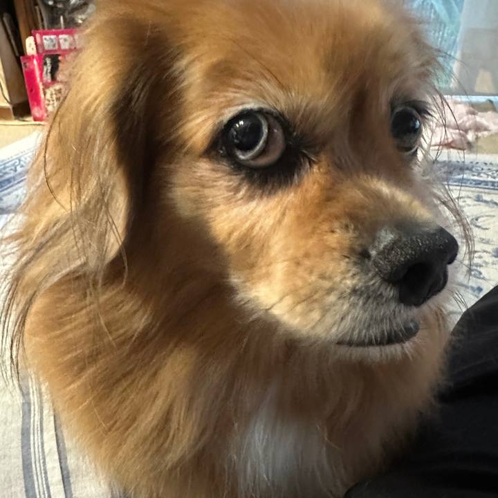 C1539270 6a97 4e96 b925 80823f5a2906 1758749453642