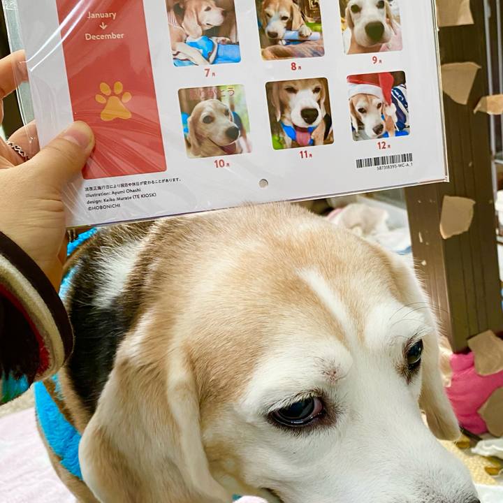 C153940d 2622 40ff a3af de66305f3908 1637207177338