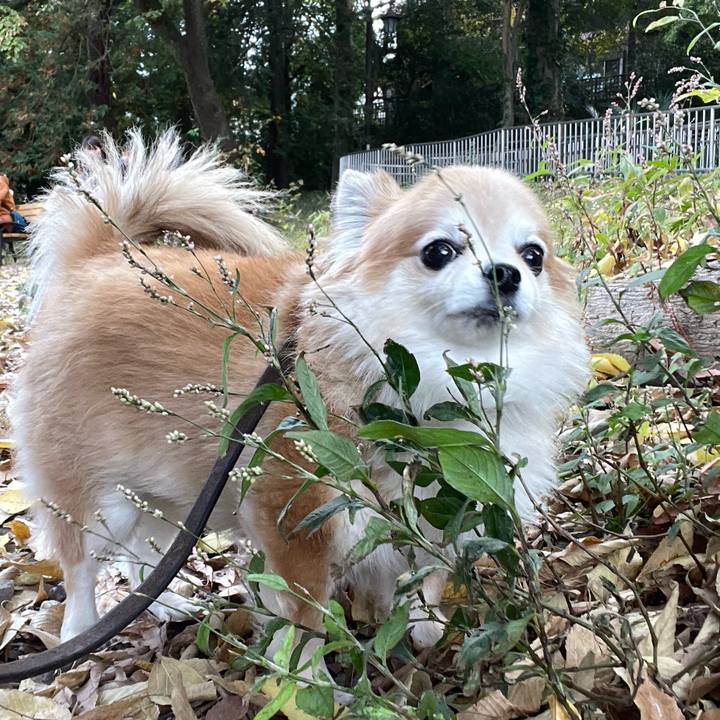 C153bb16 2b1f 4c00 a689 11ecc4310c02 1763877067896