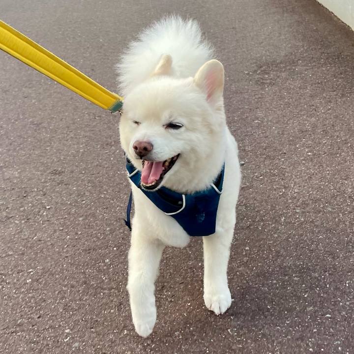 C153f068 834a 4fcd a9d1 52a3a14f2368 1759651615191