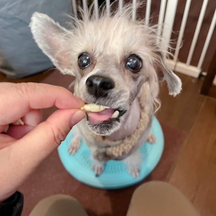 C1540d62 a1fd 4319 aa4b 8b2b443dd8f0 1771494797091