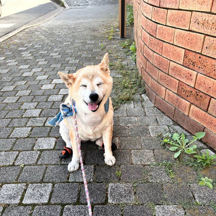 C15431b4 4cde 49e7 9a29 d63db62a511c 1752881850969