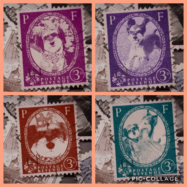 C15448b8 732c 4cb2 ac64 6fff461cad71 1570175465491