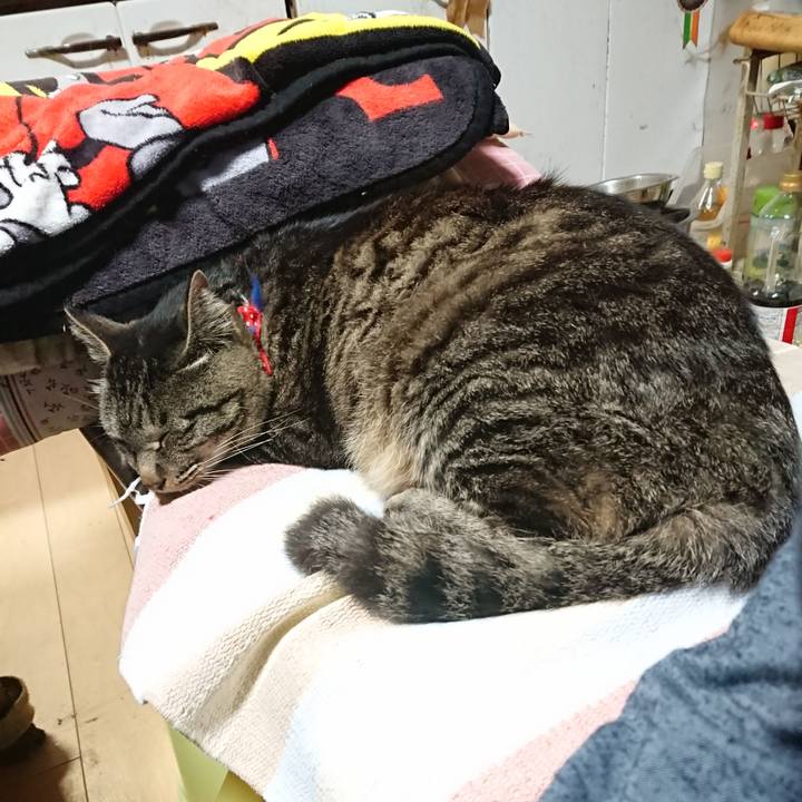 C154614c 9e8f 4763 91ad eba11afb51e8 1654606041535