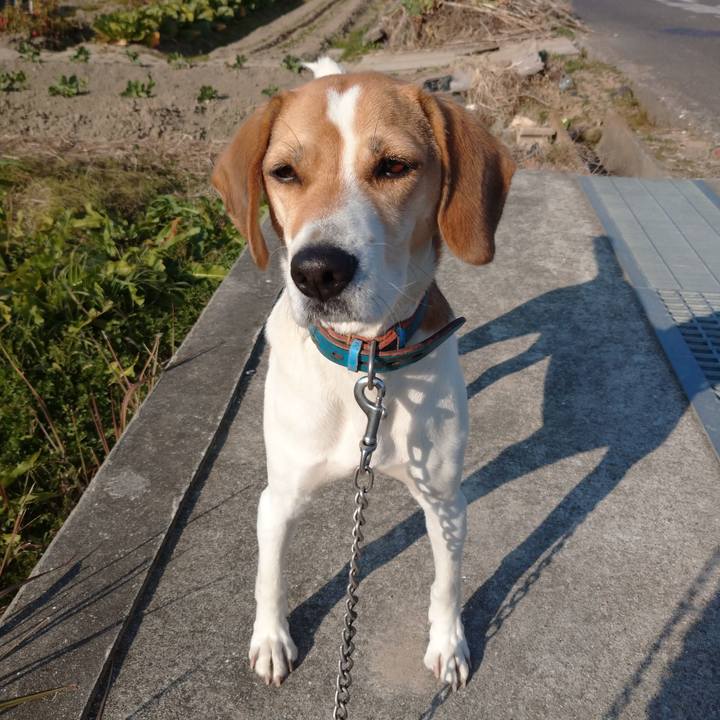 C1547aa8 431f 48d5 8f35 4dcc6311d06f 1608648369463