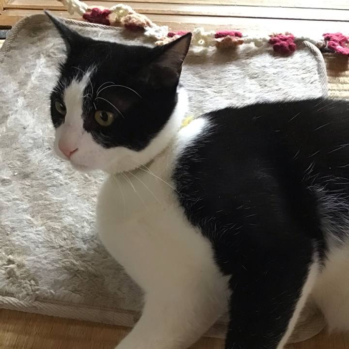 C1548919 23f8 4970 b9fc 1d586ab63337 1652163158970