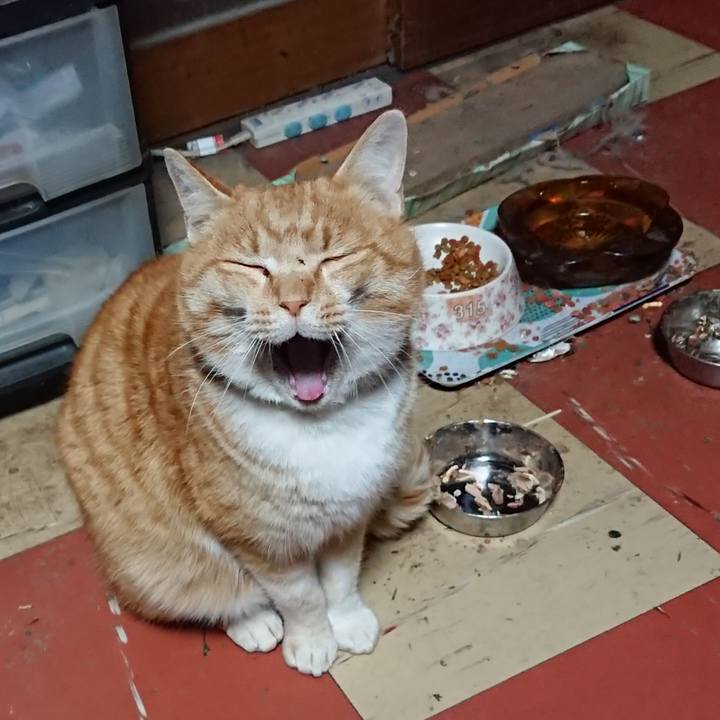 C1549b77 4a9b 4003 915d 343620572f87 1579986041454