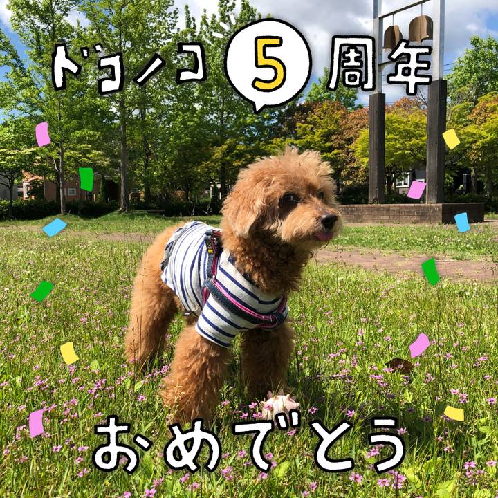 C154bb46 afd6 4e68 b9db 8db8c515e342 1622930207770