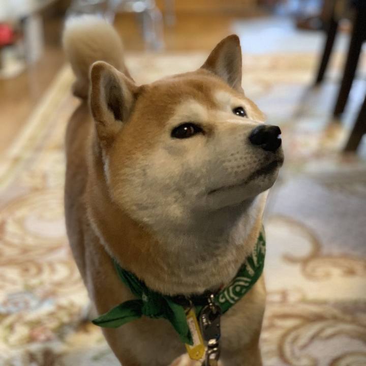 C154d979 9f1c 47b4 b9ca 5e4abbd9e7bb 1555474227403