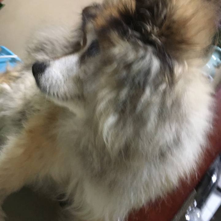 C154de40 b4d1 4176 88aa dca64acfd7f1 1608448471304