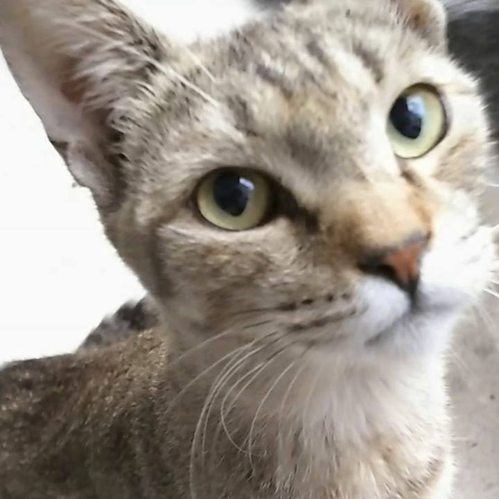 C154eb68 5e32 4976 b130 a74bf84203ee 1523422488971