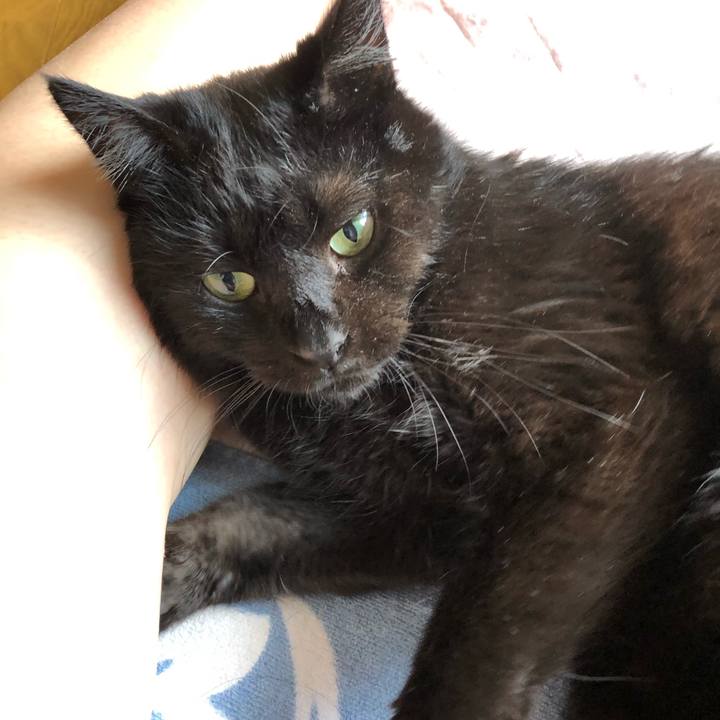 C154f729 09f8 4b6f b7aa a243c6dd72c4 1564525305648