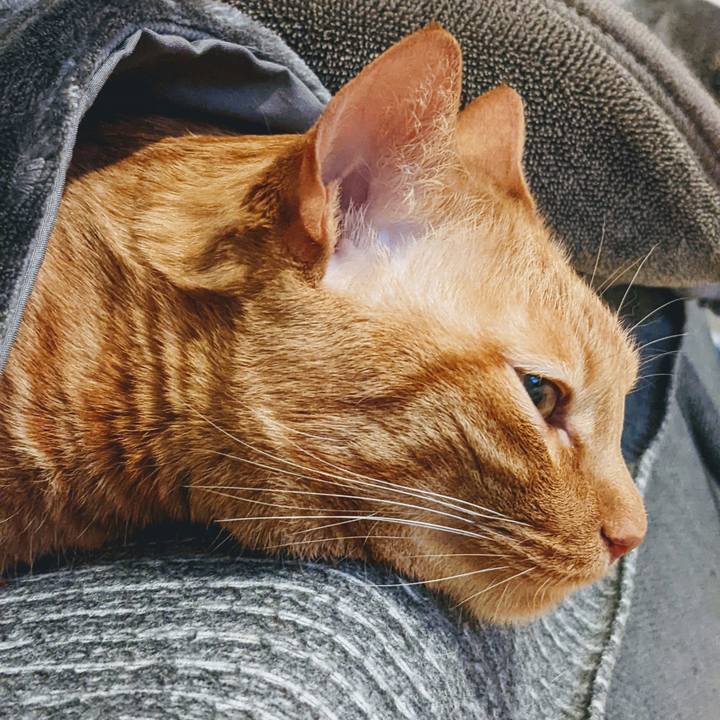 C1550225 10c7 40c6 b34b d2301dd68fd8 1649944726078