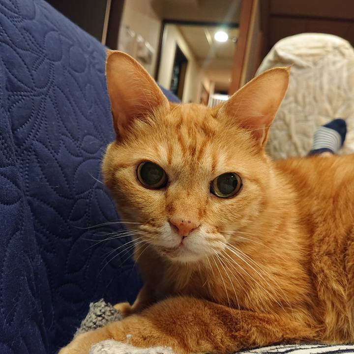 C1550546 976c 4d99 90f8 33113d70c6d4 1634991526902