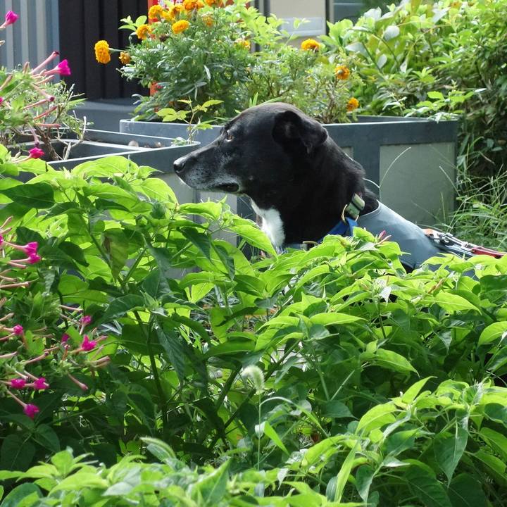 C15557e0 28a2 46f3 8a22 87e306c29e85 1725755959936