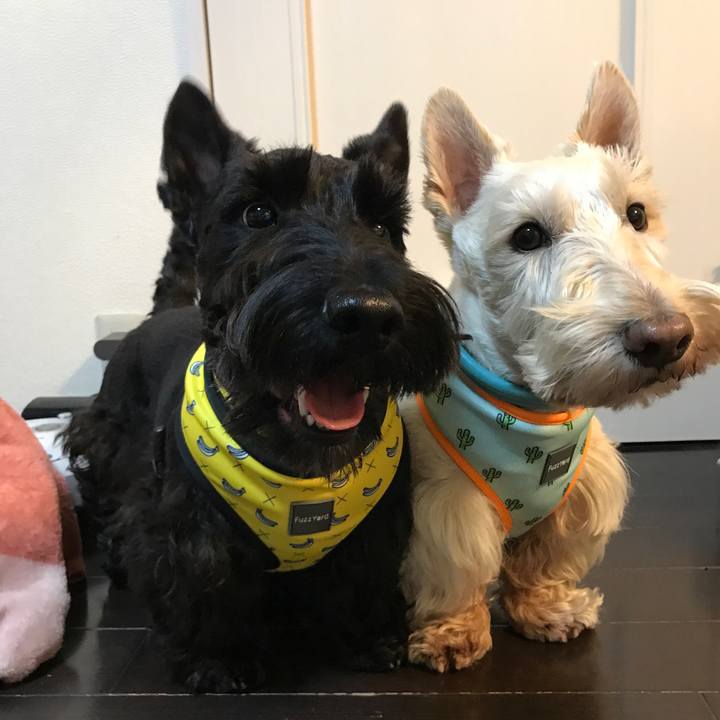 C155844c 5e8d 4975 aca9 21ec48469b15 1555145702124