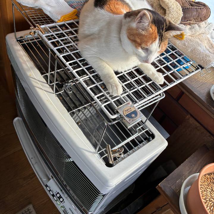 C1558c2b 6c5b 41f1 a343 3216925b57f7 1768625137705