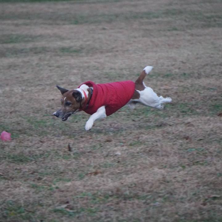 C1559b7f da5a 48bf 9e8c 9fb772c153dd 1607899832371