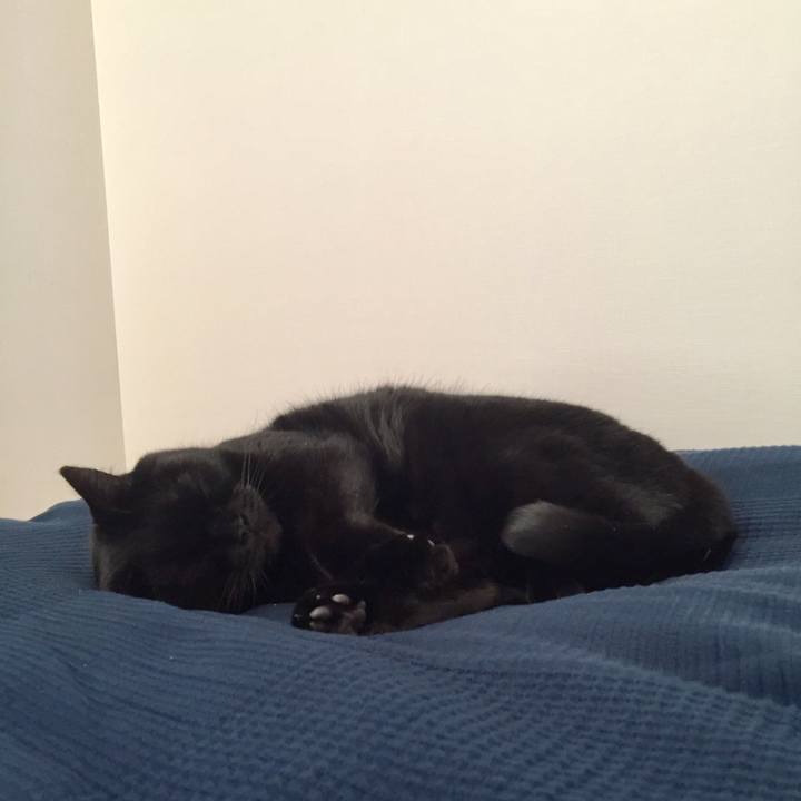 C1559d3a 7253 4c6f 9aa8 80a1b1aa0241 1588945656752