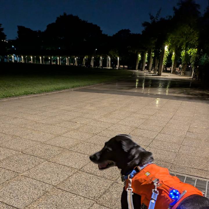 C155a109 115b 4c95 bcad 4251bd6accf6 1728903321231