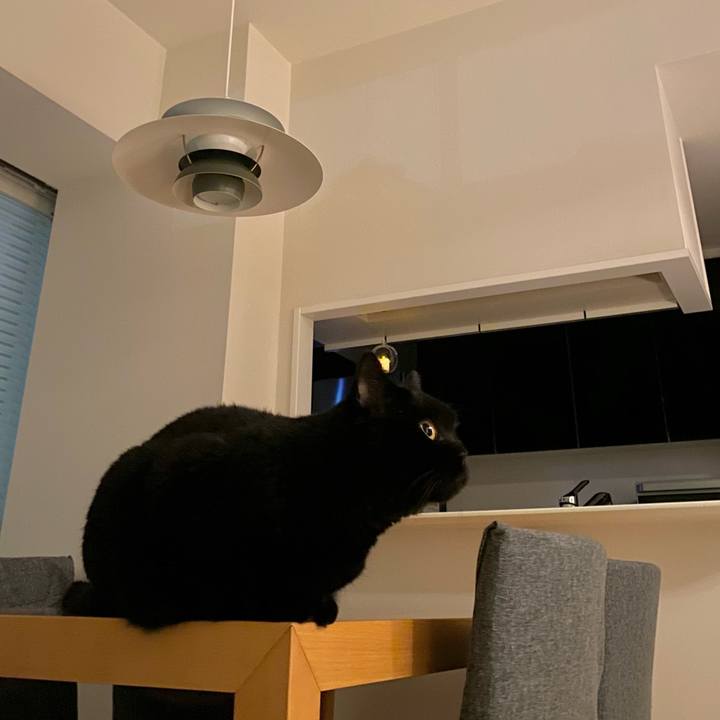 C155d92e fe53 4434 960c 772c3d1cf819 1727699857153