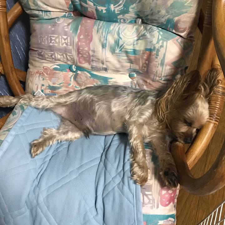 C1560e45 585e 48c3 b9fe af9f74f79878 1600594656494