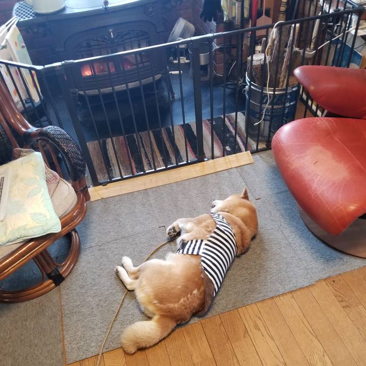 C1565445 3b3e 4672 88a6 3e4056b5a862 1642376881941