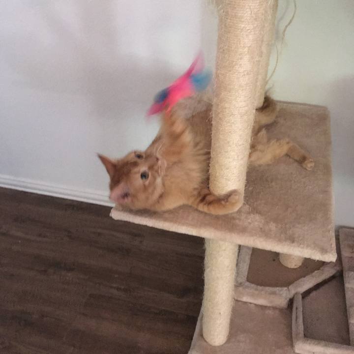 C1566bef 6bf7 4c3d 8908 4c23859620f2 1656636811815