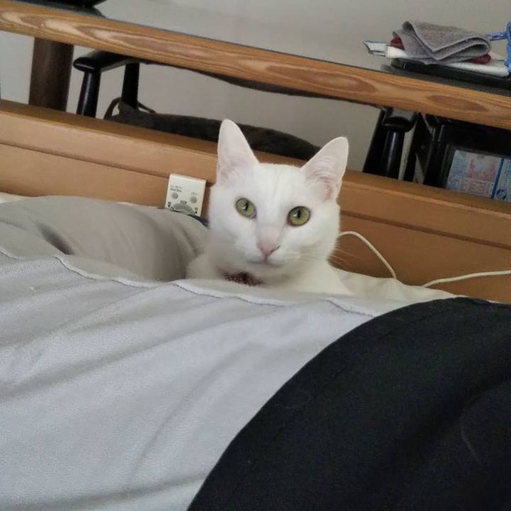 C15696a8 af16 49d1 b703 de784ba08fe9 1636505344077