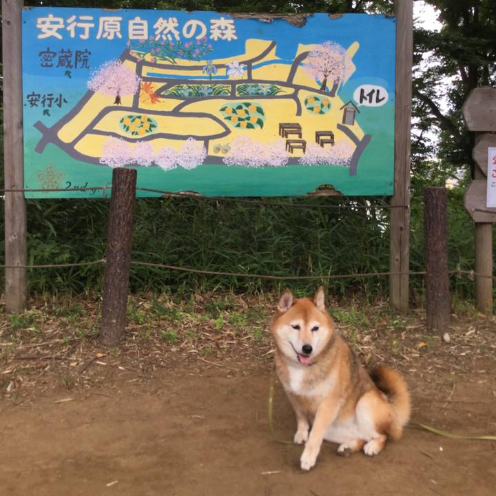 C1569c3f 8777 4f42 9b3d e04180efb9dc 1624335607651