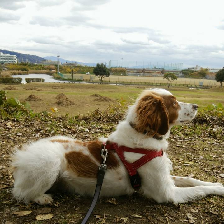 C1573346 7b00 46f2 aa60 3baa14e39a9e 1544342713829