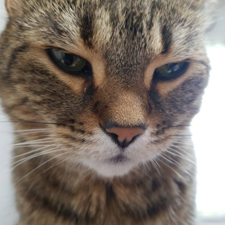 C15764ce a5ed 4c58 8bf1 89c00017edbf 1591649795033