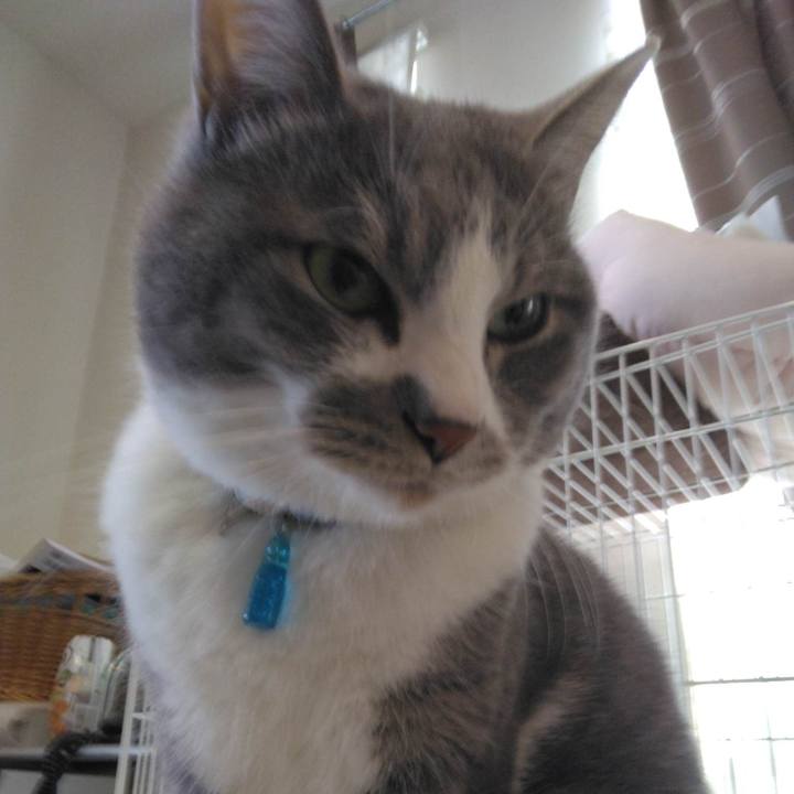 C1576618 b51b 4c56 9402 63bfdb686a3b 1682157154328