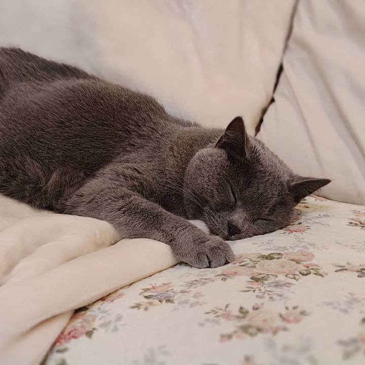 C157881d 8018 4ea8 b115 042068fddef1 1773542338544