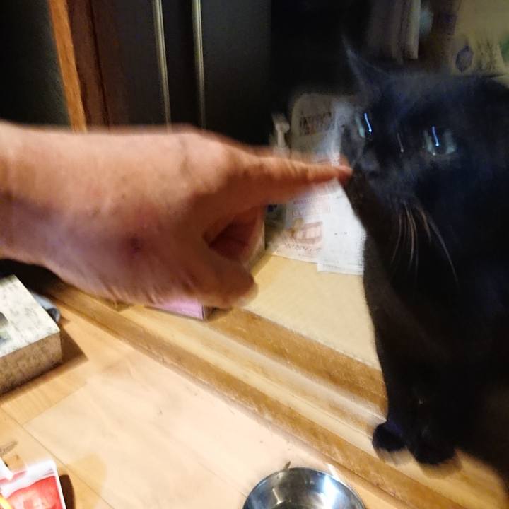 C157c375 6eee 40c1 b49c 70619ed1459a 1631963830858