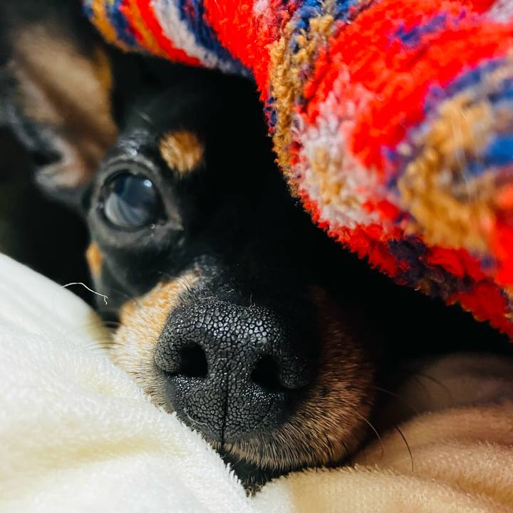 C157e691 80f0 4ce6 9758 eb63a84f5462 1738455843978