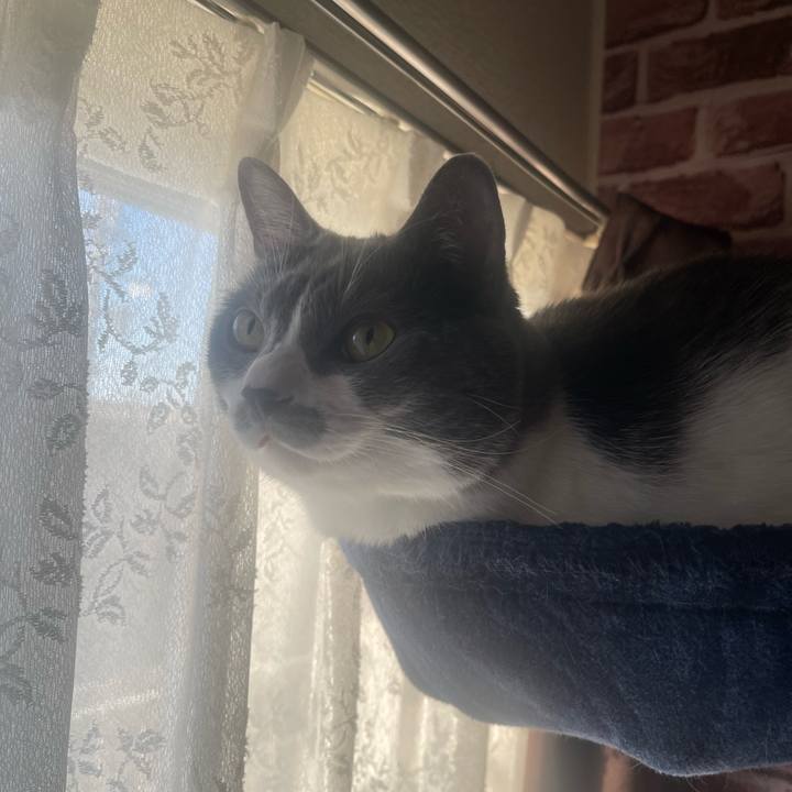 C158028d 1cc5 46aa 82ed 14a25453ba4d 1698098853497