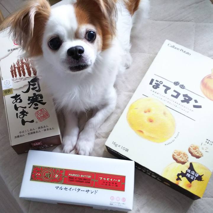 C15802fc eb88 4113 b050 c088a9799e92 1536198403283