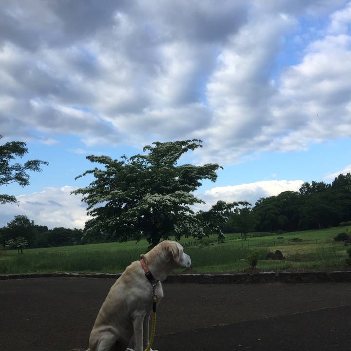 C1582257 ff8d 4578 b9ed 8bcb8b55cece 1568434486603