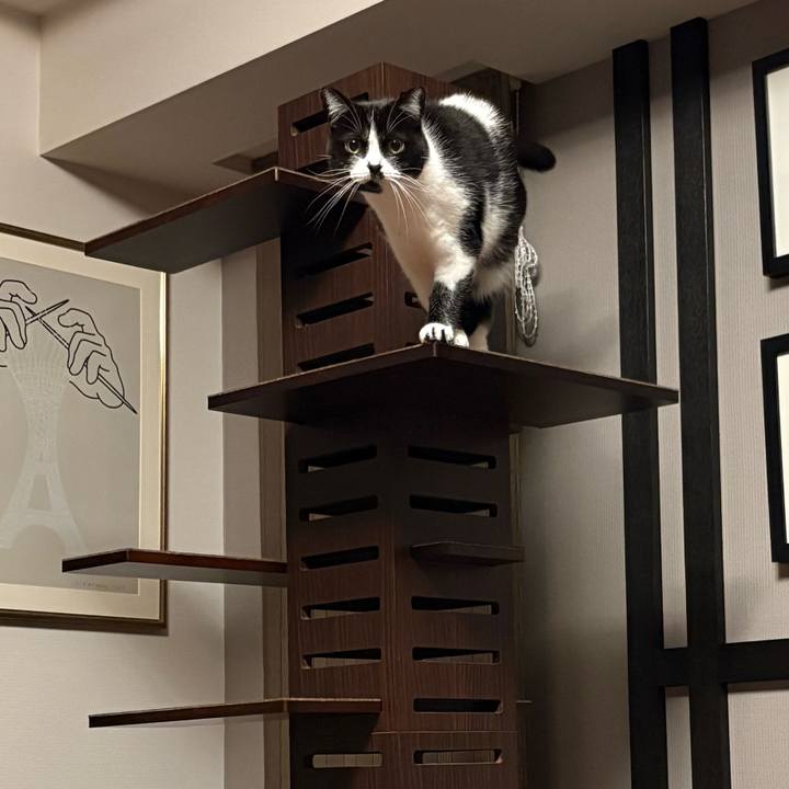 C1585336 e94a 4276 b597 63da24bedd5c 1762181789018