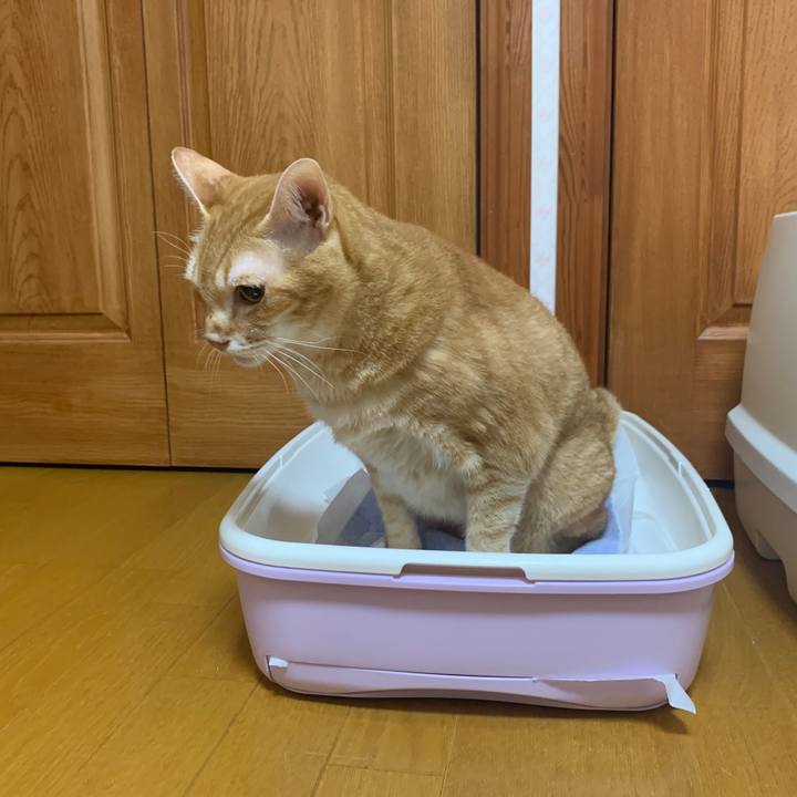 C15859e5 960b 43e2 819d a84f15f66dd8 1664397018985