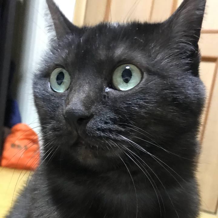 C158c030 9d22 4691 a72a 642e778e75c7 1514712069563