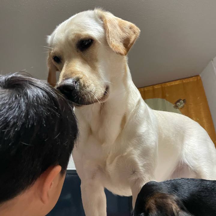 C15931a1 b787 45ca ae0c 3f7a209b5d17 1654903170698