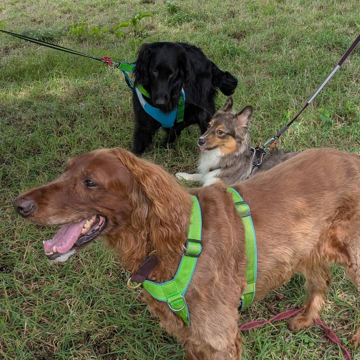 C1593ff9 9ac7 4fa0 ac6e 6602b083fffa 1755775828631