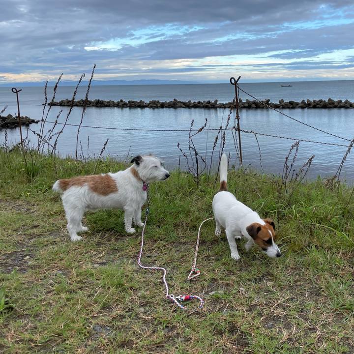 C1594857 46b4 4f04 b70a 9c05e9912817 1630884972632